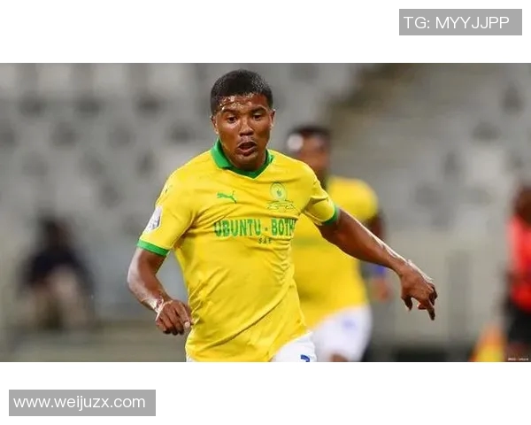 南非足球明星排行榜揭晓谁是足坛传奇与新星的巅峰对决 南非足球明星排行榜揭晓谁是足坛传奇与新星的巅峰对决