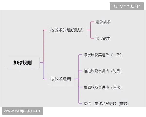 深入分析北京排球队的整体压制战术及其在比赛中的应用效果 深入分析北京排球队的整体压制战术及其在比赛中的应用效果