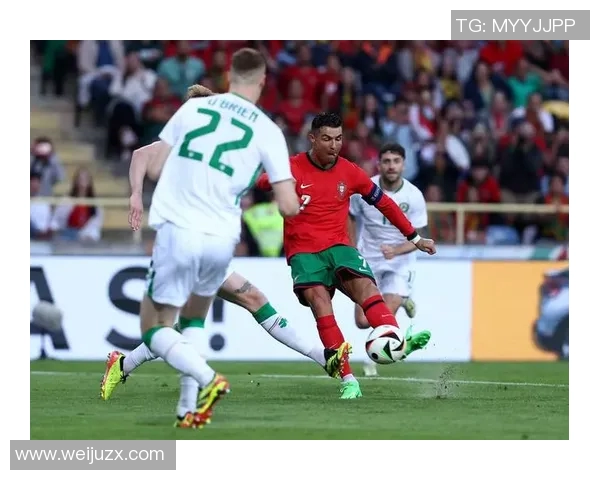 爱尔兰足球明星10号的传奇之路与辉煌成就解析