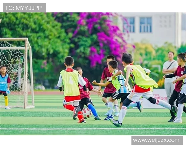 普卡足球的魅力与发展:探索这项新兴运动的未来潜力与影响力 普卡足球的魅力与发展:探索这项新兴运动的未来潜力与影响力